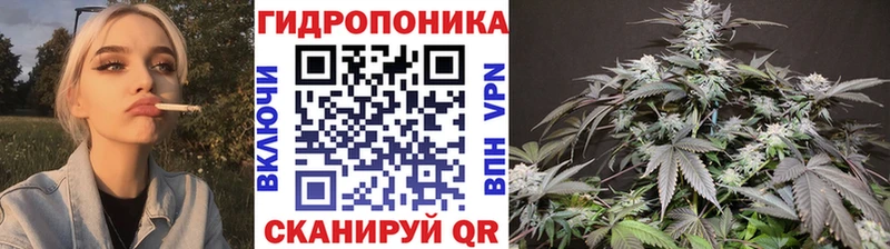 Купить закладку Кокаин  Мефедрон  APVP  ГАШИШ  Анжеро-Судженск