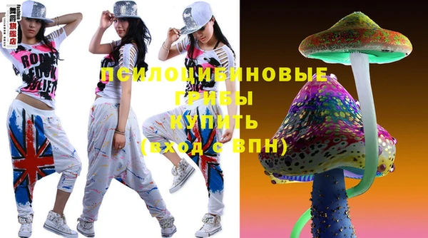 прущая мука Краснослободск